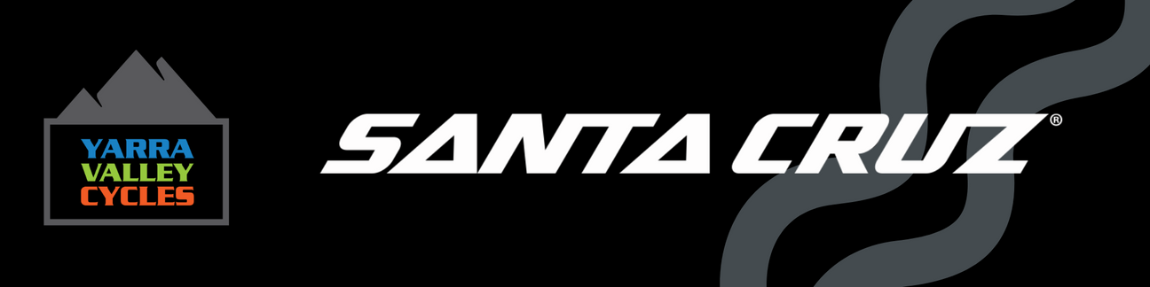 Santa Cruz Factory Sale