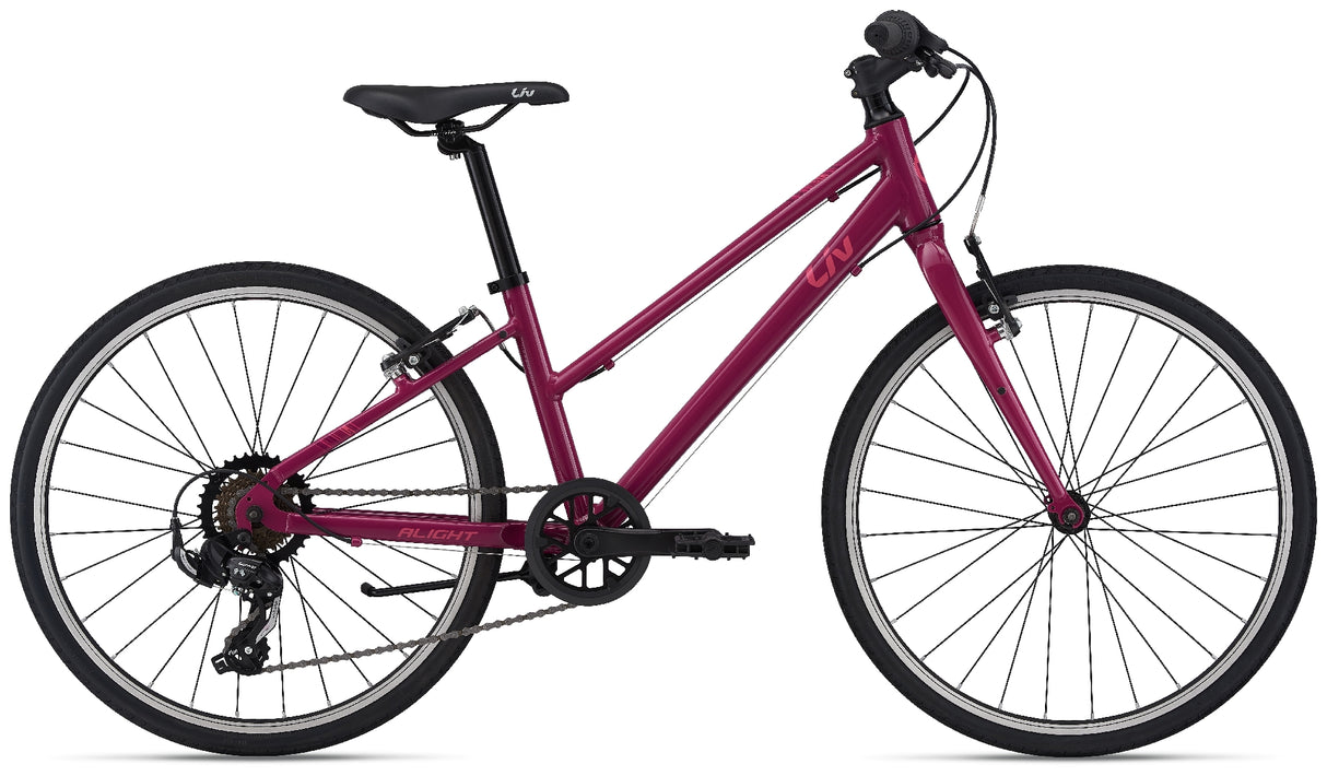 Liv 2022 Alight 24 Purple