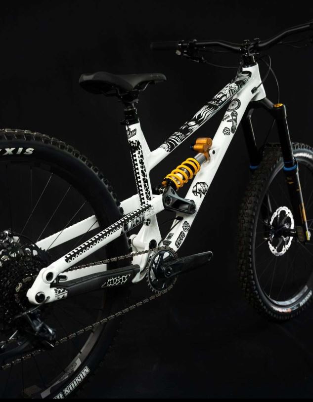 Ridewrap - Creator Protection - P Digsss - Gloss