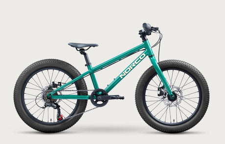 Norco 2026 - Storm 20" Disc - Green