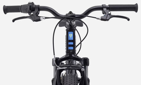 Trek 2027 Precaliber 20" 7sp - Marianas Blue - 20