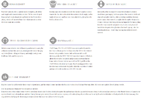 Kona 2020 Shonky Dj Frame - (long)