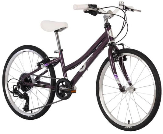 Byk E450 22" (8 Speed) (steel Purple)