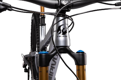 Pivot 2022 Trail 429 (enduro Pro Xt/xtr) Silver [sz:large]