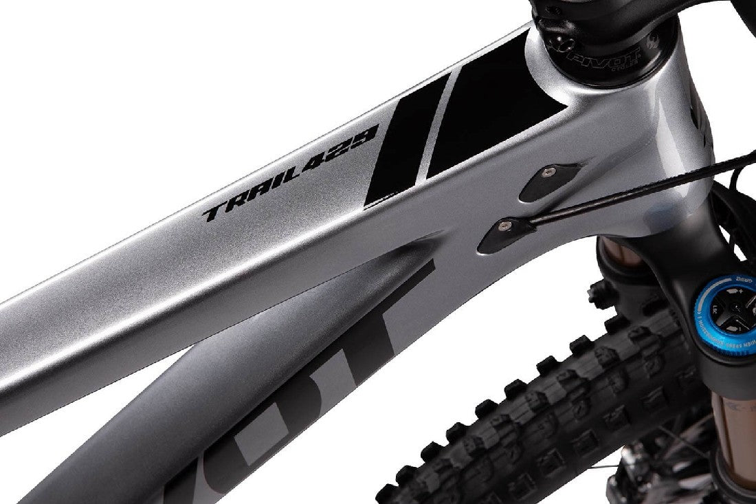 Pivot 2022 Trail 429 (enduro Pro Xt/xtr) Silver [sz:large]