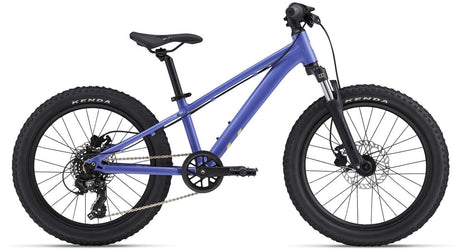 Liv 2024 Stp 20" Mtb - Dusty Purple