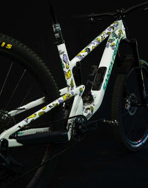 Ridewrap - Creator Protection - Modest Mushies - Gloss