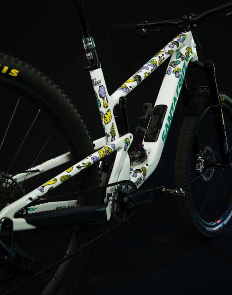 Ridewrap - Creator Protection - Modest Mushies - Gloss