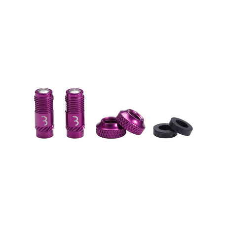 Bbb Valve Caps Corecap - (convert Presta To Shrader) Pair [cl:purple]