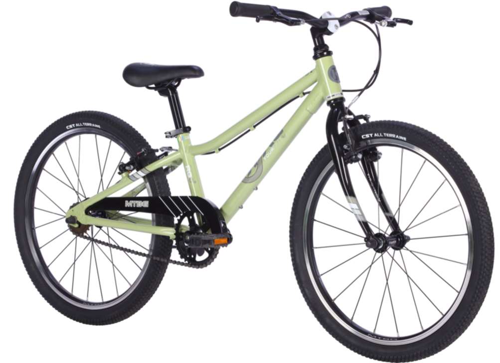 Byk E450 22" (Single Speed) (Sage Green/Black)