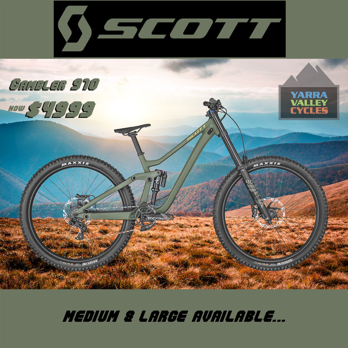 Scott gambler outlet 910 2021