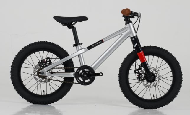 Patrol kids 016 - 16 Kids Mtb - Vogue Silver